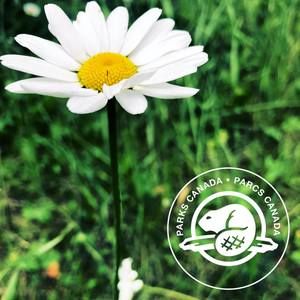 Meet your Posher, Misty